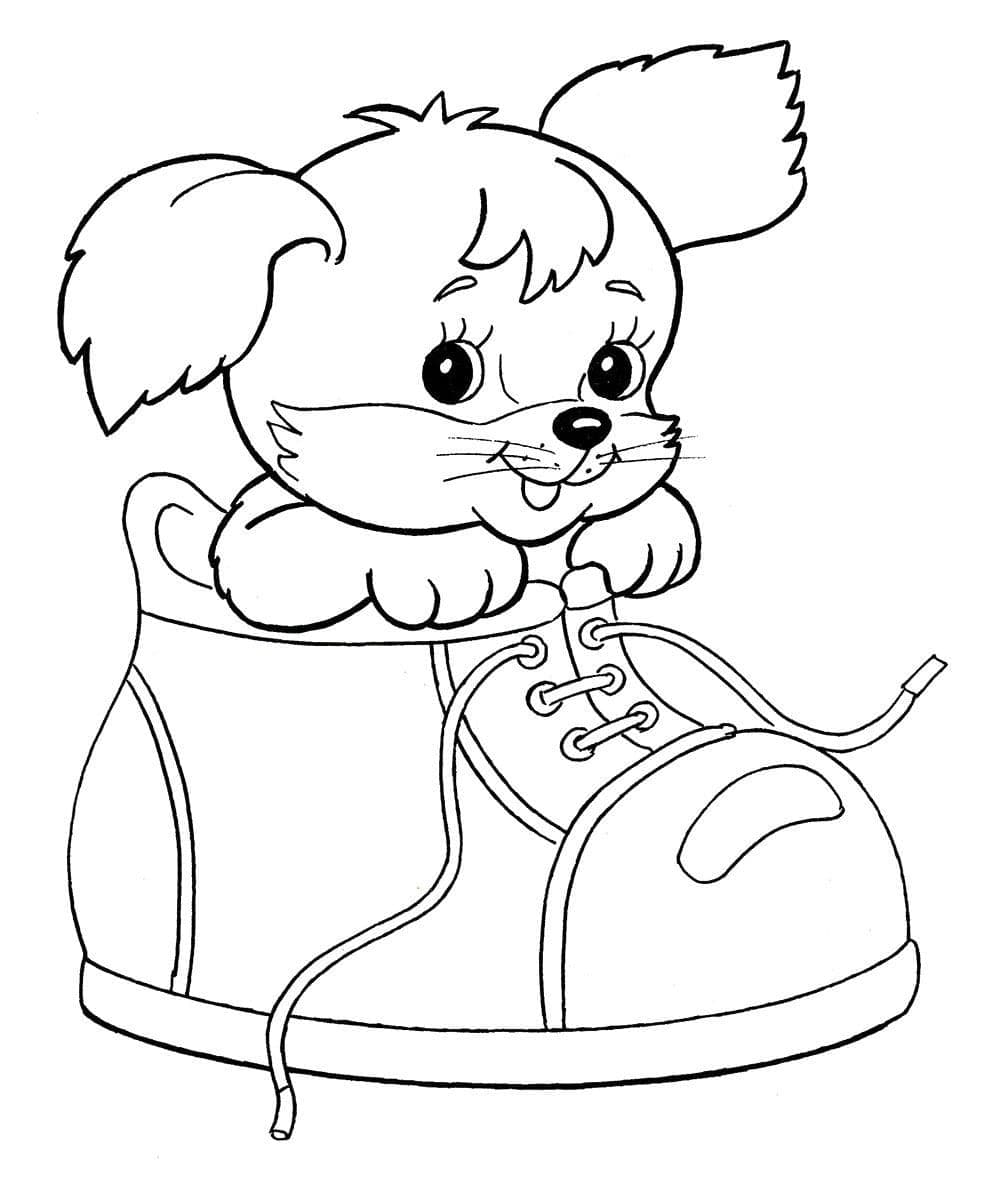 Собачка в ботинке