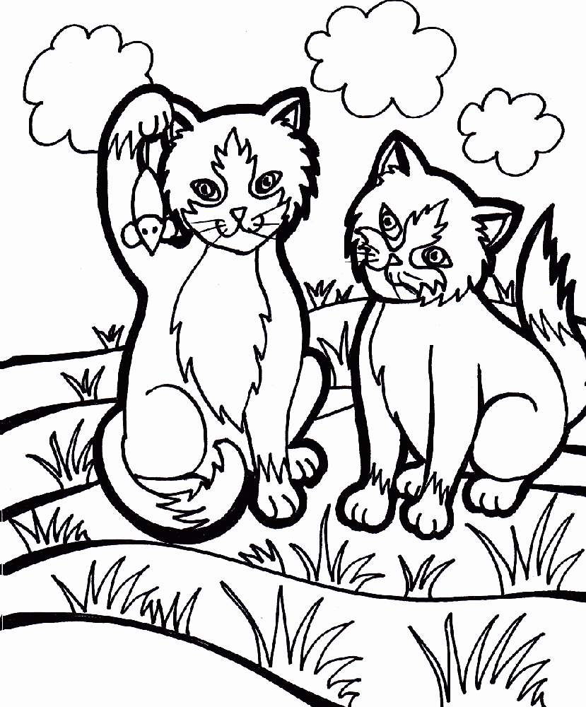 Два котенка