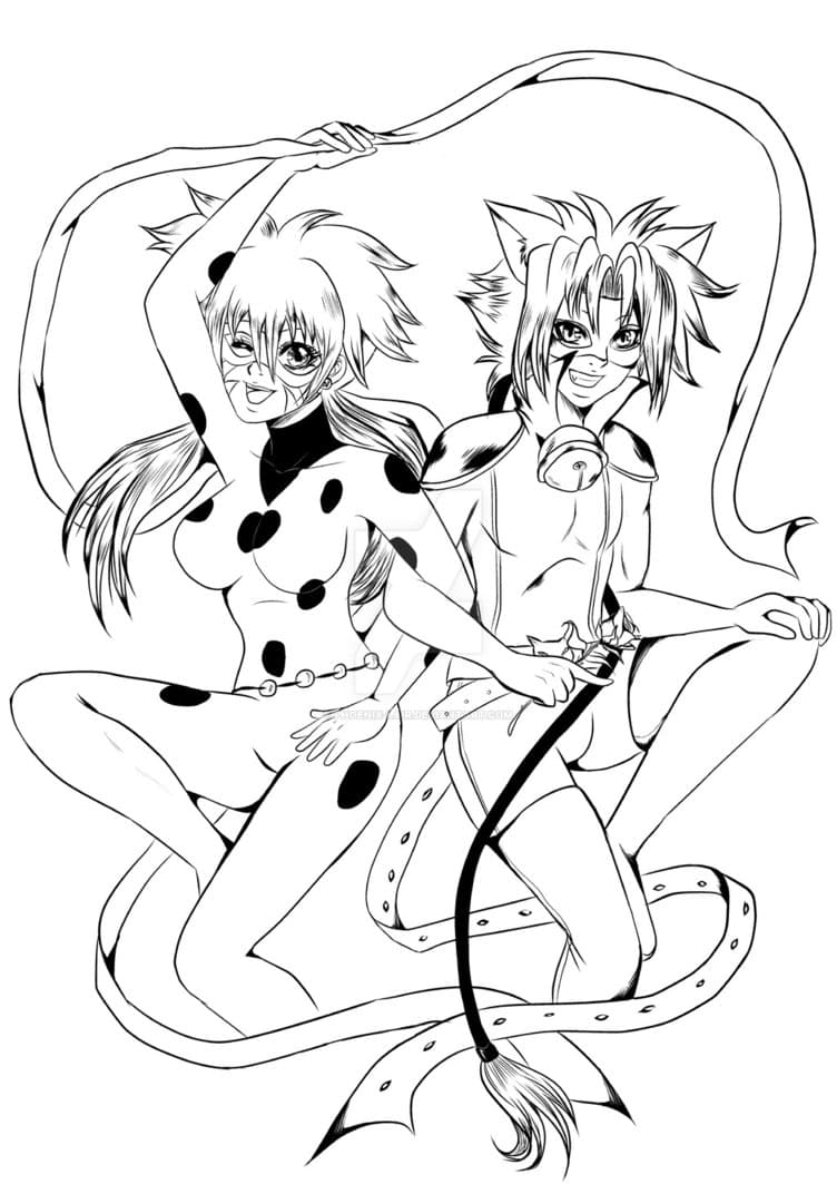 Леди баг и её союзник