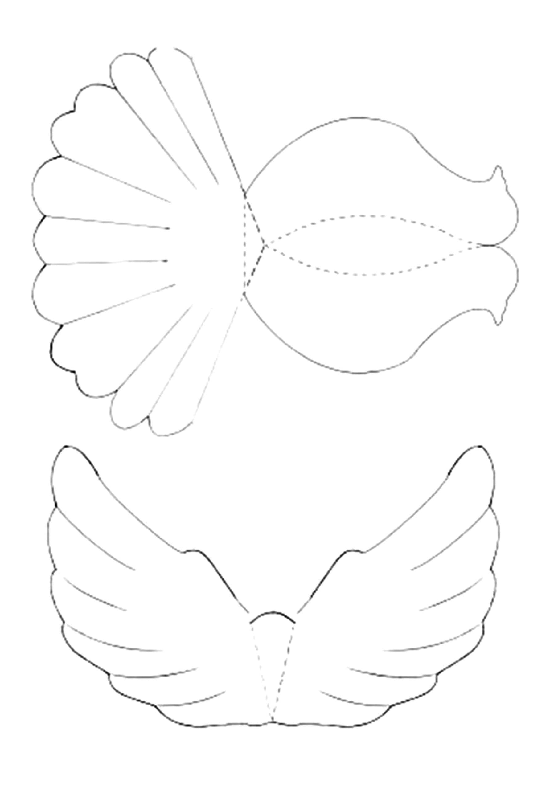 Хвост голубя