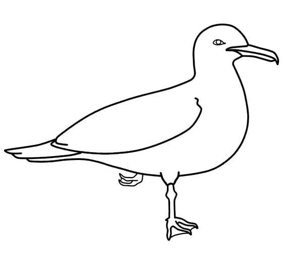 Чайка трафарет