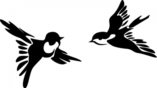 Две птички трафарет