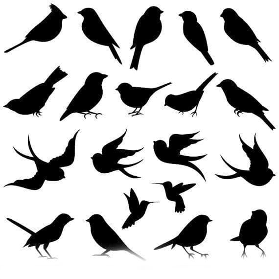 Мелкие птички трафарет