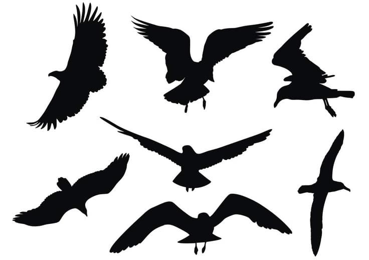 Орлы для вырезания