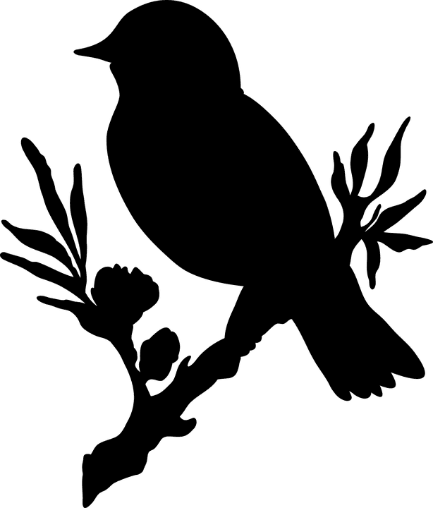 Птичка на ветке для вырезания