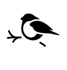 Птичка на ветке