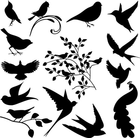 Птицы трафарет